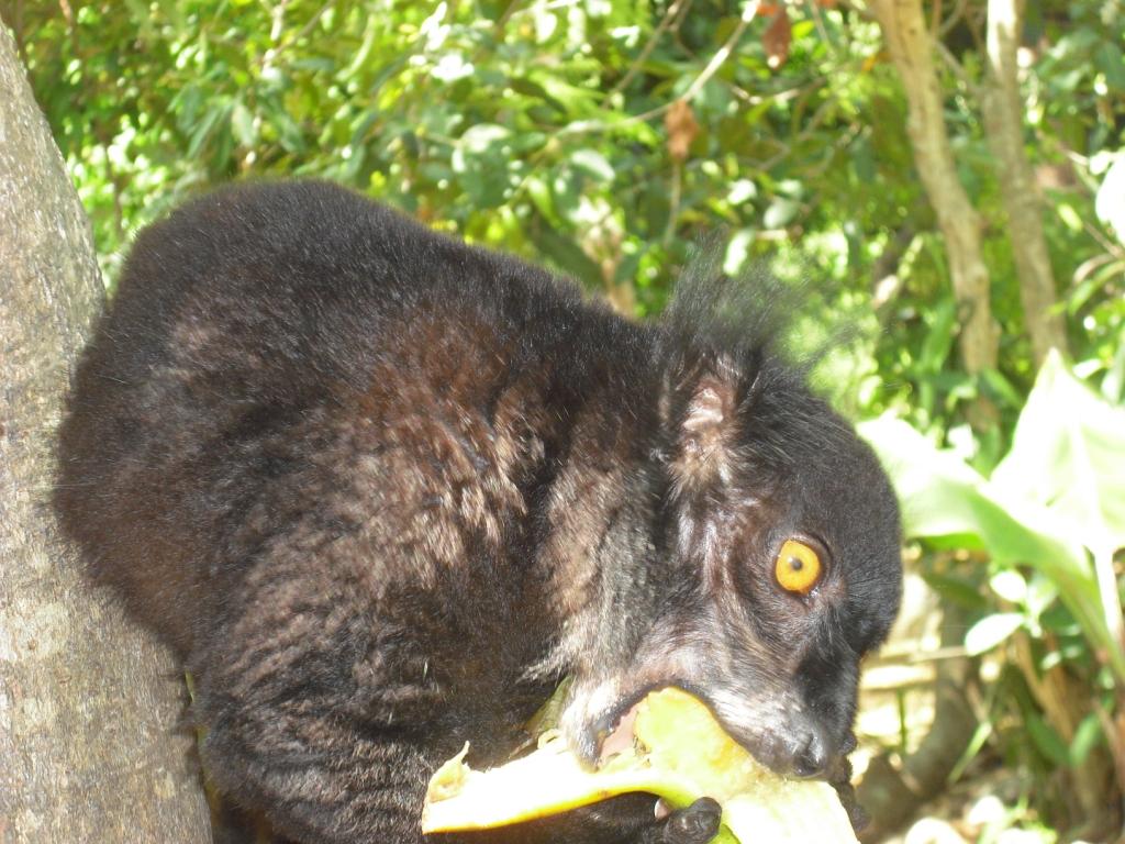 Nosy b, piccola isola del Madagascar
